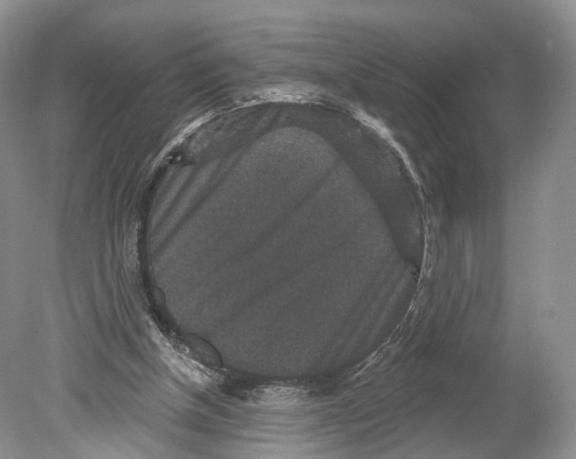 X0000078870154200612111722