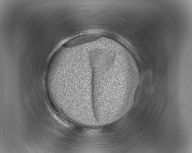 X0000078870155200612111722