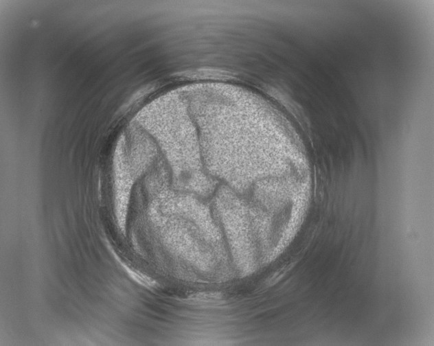 X0000078870157200612111722