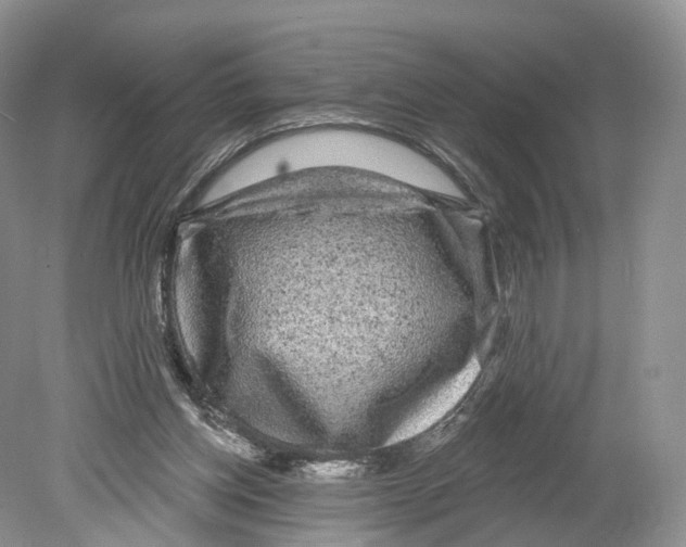 X0000078870158200612111722