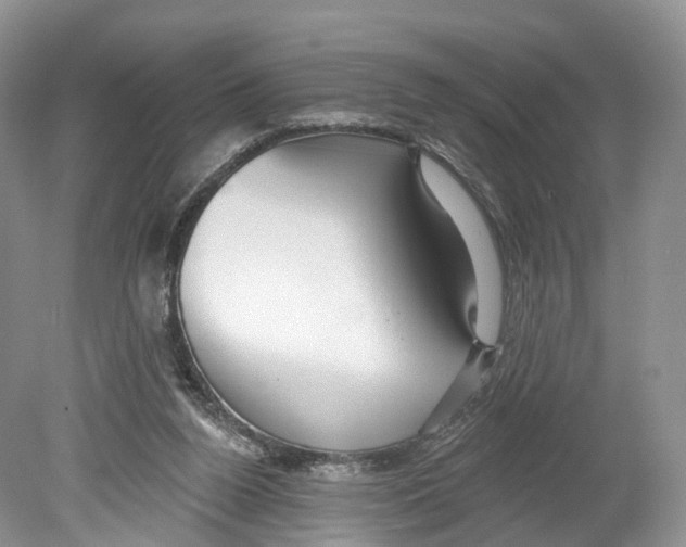 X0000078870160200612111723