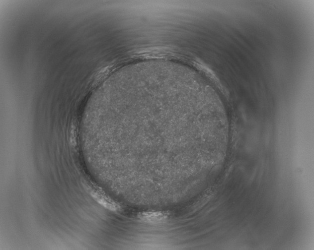 X0000078870161200612111723