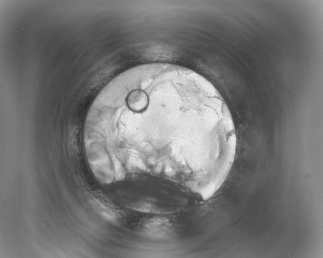 X0000078870162200612111723