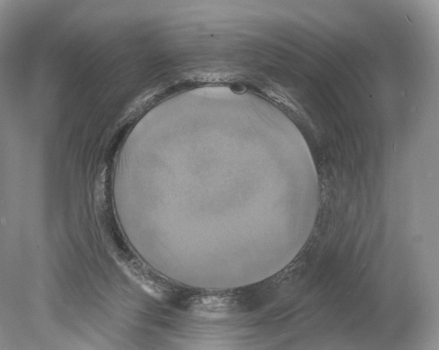 X0000078870163200612111723