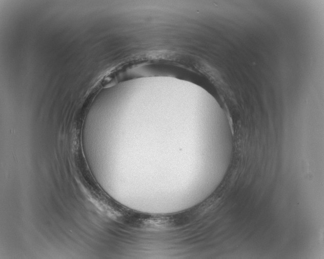 X0000078870164200612111723