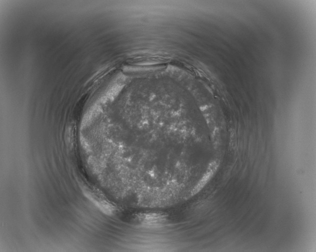 X0000078870165200612111723