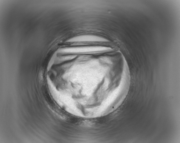 X0000078870166200612111723