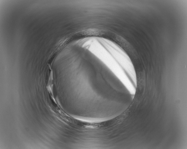 X0000078870167200612111723