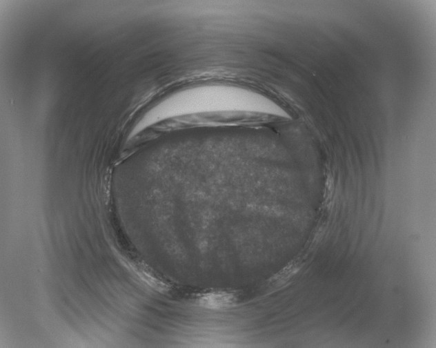 X0000078870168200612111723