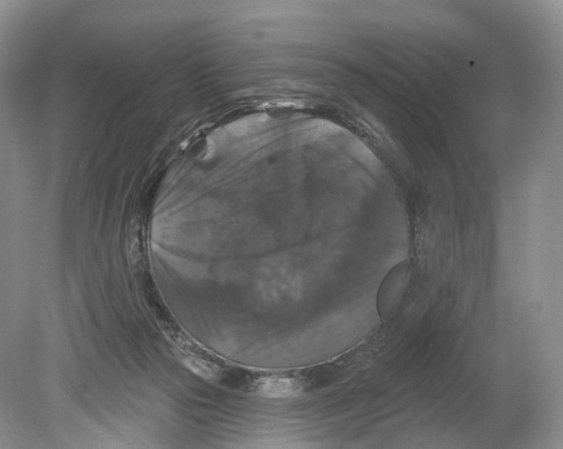 X0000078870169200612111723