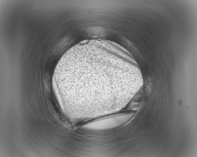 X0000078870170200612111723