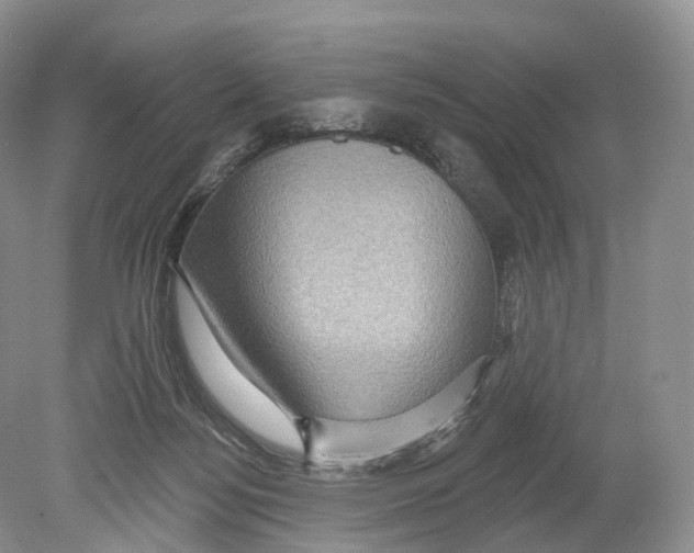 X0000078870172200612111723