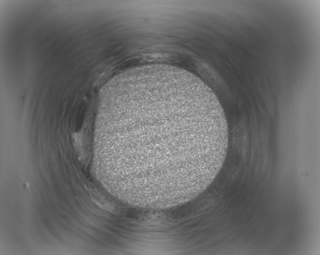 X0000078870173200612111723