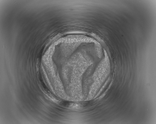 X0000078870174200612111723