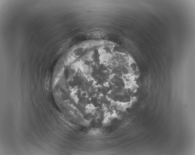 X0000078870177200612111723