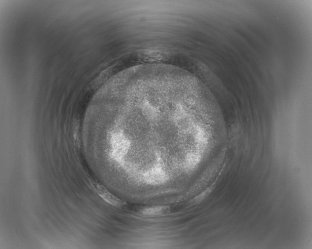 X0000078870178200612111723