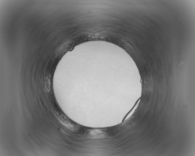 X0000078870183200612111723