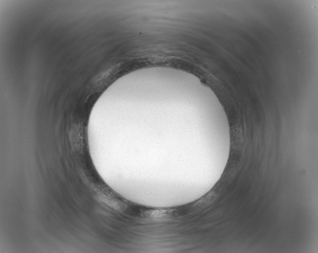 X0000078870184200612111723