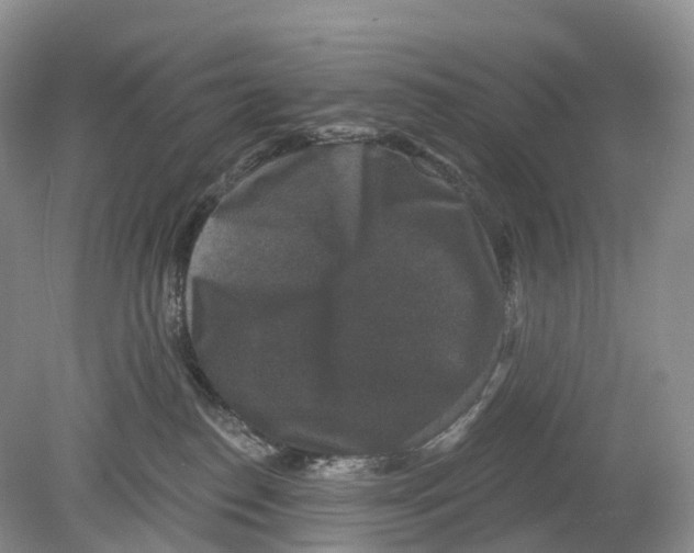 X0000078870186200612111723