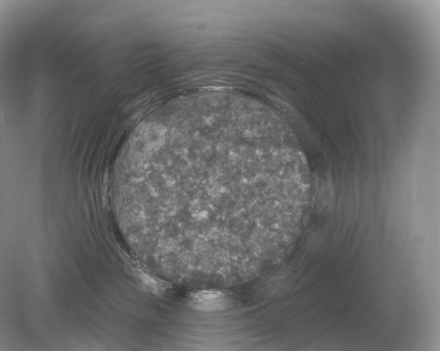 X0000078870189200612111723