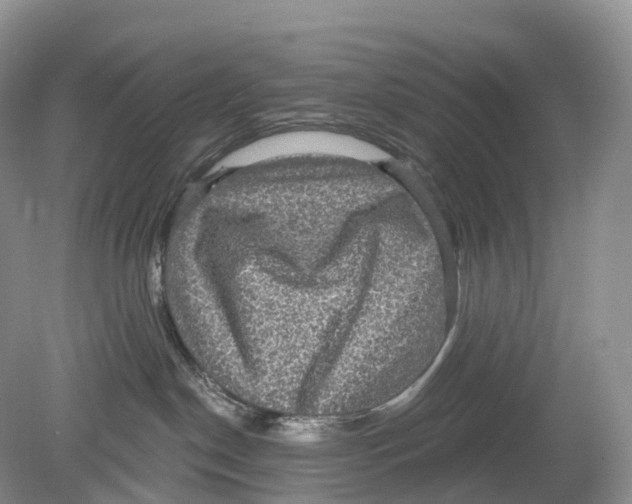 X0000078870190200612111723