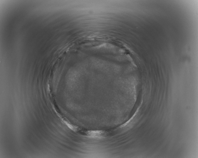 X0000078870192200612111723