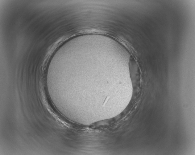 X0000078870193200612111722