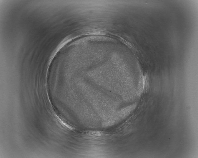 X0000078870195200612111722