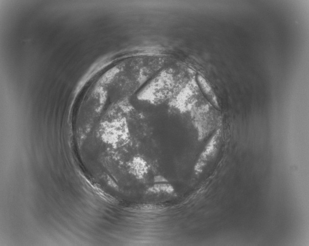 X0000078870198200612111722