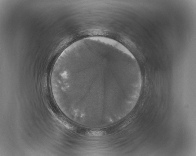 X0000078870202200612111722