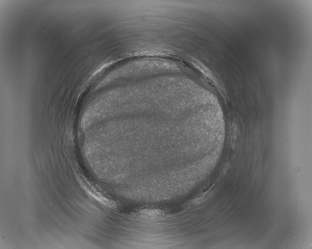 X0000078870203200612111722