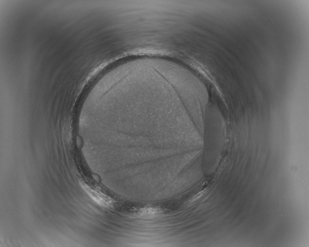 X0000078870204200612111722