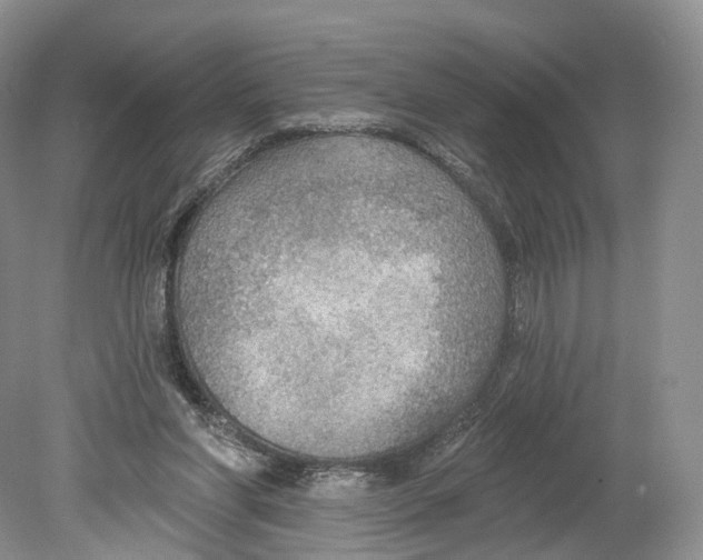 X0000078870206200612111722