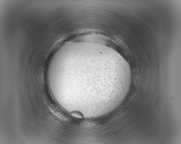 X0000078870207200612111722