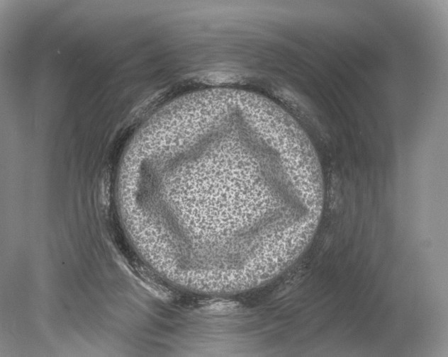 X0000078870210200612111722