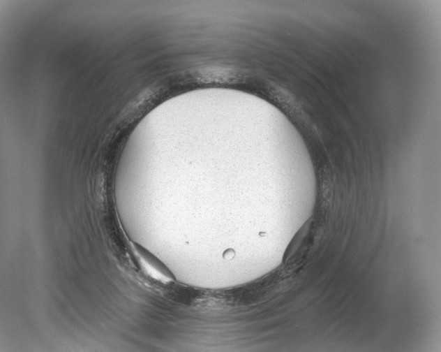 X0000078870211200612111722