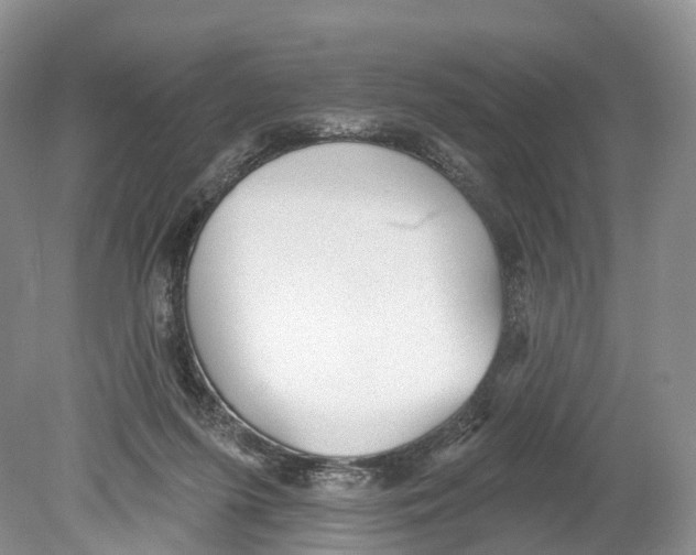 X0000078870215200612111722