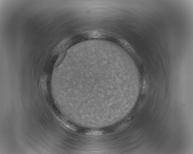 X0000078870217200612111722