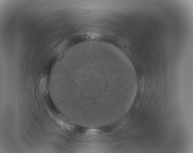 X0000078870222200612111722