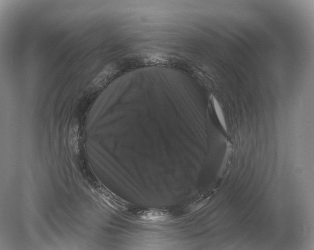 X0000078870223200612111722