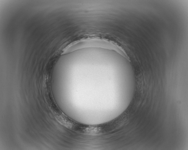 X0000078870225200612111722