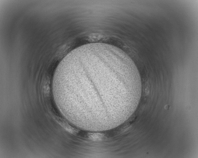 X0000078870226200612111722