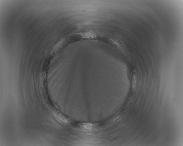 X0000078870229200612111722