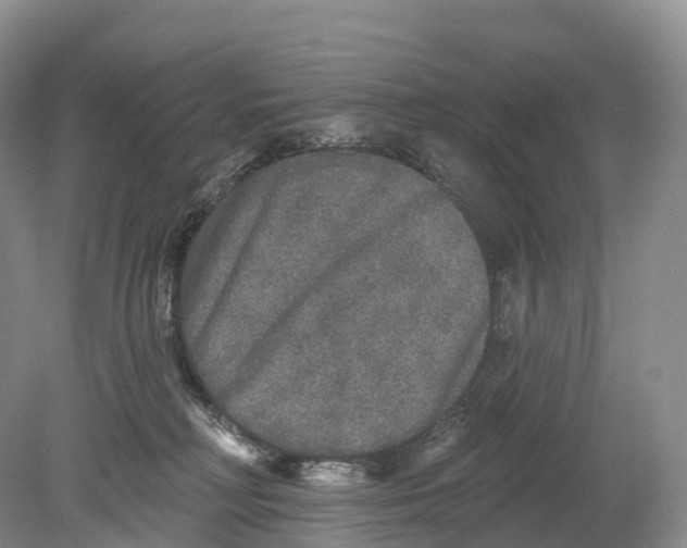 X0000078870230200612111722