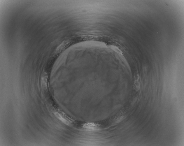 X0000078870231200612111722