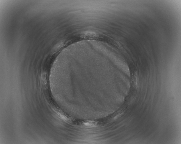 X0000078870232200612111722