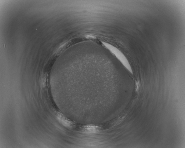 X0000078870233200612111722