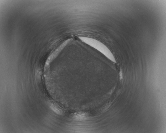 X0000078870235200612111722