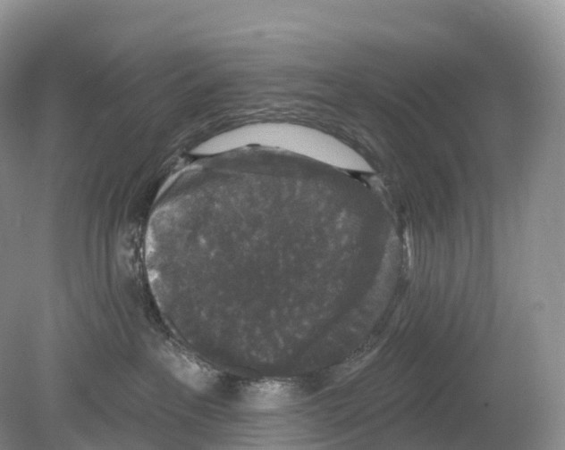 X0000078870237200612111722