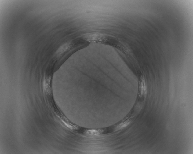 X0000078870239200612111721